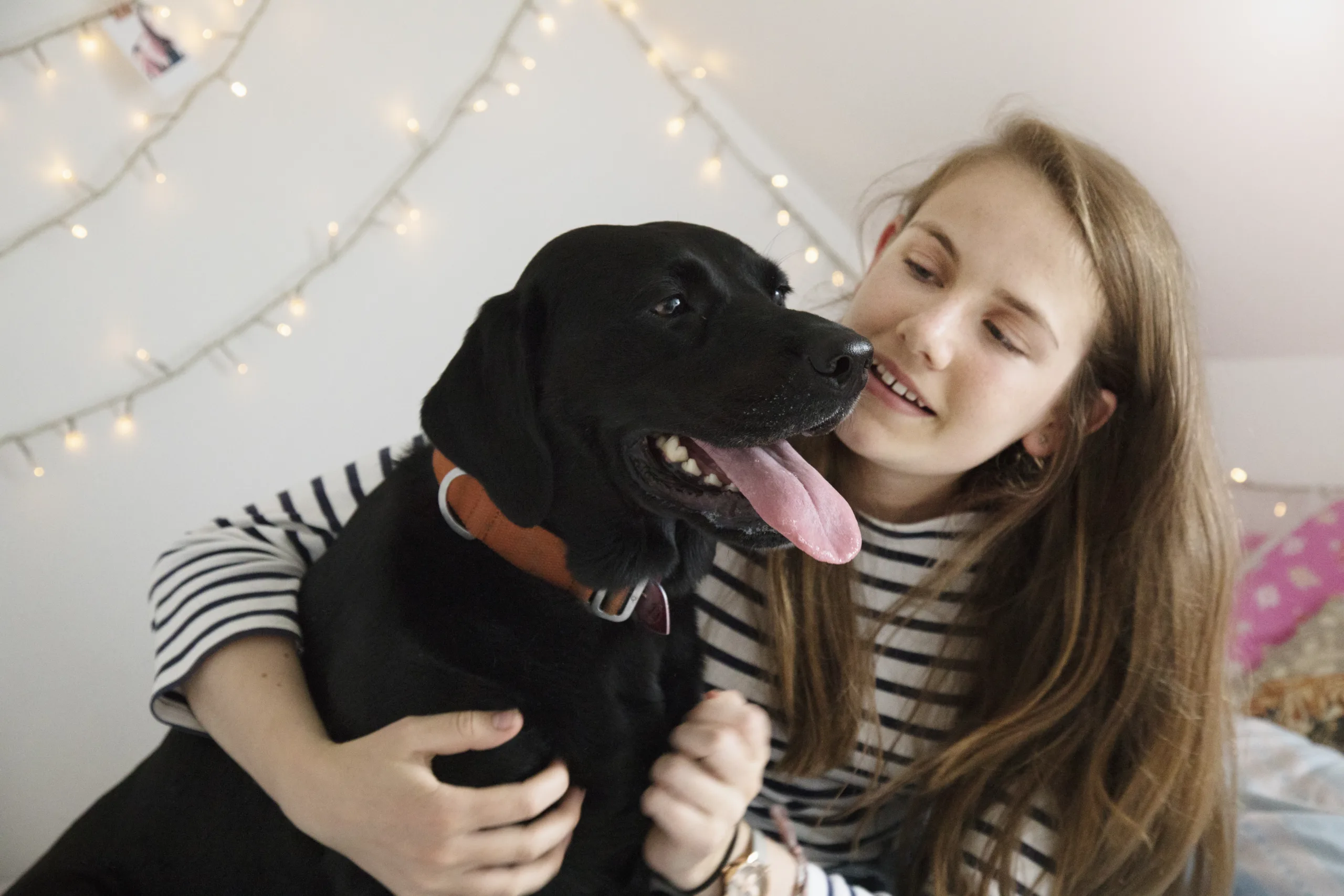 Girl embraces her labrador retriever pet in her bedroom.